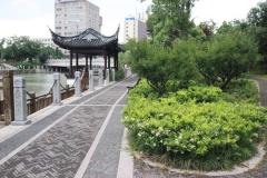 驳岸上的铺装园路和临水四角亭