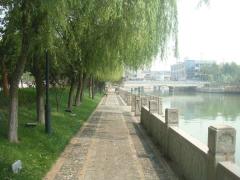 河边园路、栏杆、地被植物