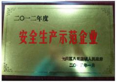 12年镇安全生产示范企业